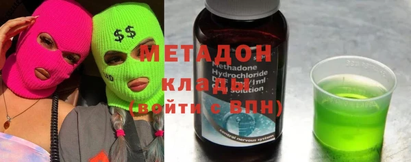 индика Алексин
