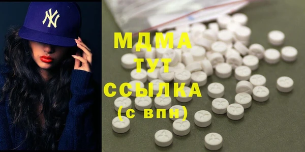 индика Алексин
