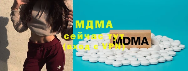 индика Алексин
