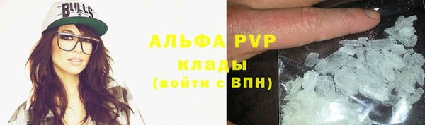 индика Алексин