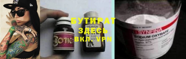 индика Алексин