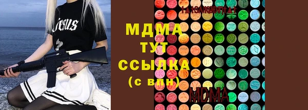 индика Алексин